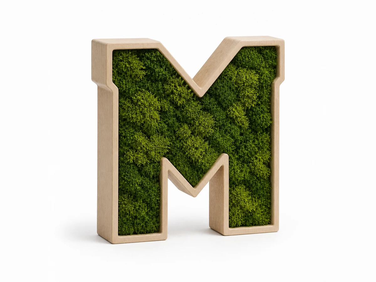 M con bastidor de madera y relleno frontal de musgo preservado